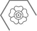 柔和順暢